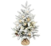 HOMCOM 60 cm Prelit Mini Tabletop Christmas Tree, Snow Flocked Xmas Tree, Green