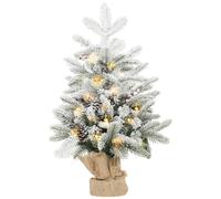 Homcom 60 Cm Prelit Tabletop Mini Christmas Tree, Flocked Snow Xmas Tree In Green Green