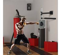 Adjustable Speed Bag Wall Mount, Boxing Equipment HOMCOM Black One Size