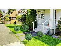 HOMCOM Artificial Boxwood Topiary Trees