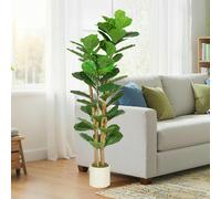 HOMCOM 150cm Artificial Fiddle Leaf Fig Tree with Solid Wood Trunks, Decorative Artificial Plant with 71 Leaves in Pot for Indoor Living Room Office Home Decor, Green