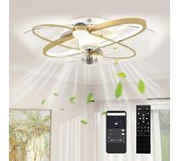 HOMCOM Ceiling Fans with Lights and Remote & App Control, 62 cm Modern LED Ceiling Fan Light with 3 Colour Temperatures, 6 Speed, Timer, Dimmable, Quiet Reversible DC Motor, for Bedroom, Gold Tone