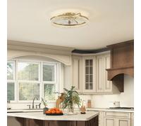 Homcom Ceiling Fans With Lights And Remote & App Control For Bedroom, Gold