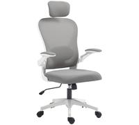 Homcom Ergonomic Mesh Office Chair With Headrest, Lumbar Support, Grey Grey