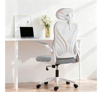 HOMCOM Ergonomic Office Chair, Computer Chair with Foldable Backrest, Grey in Light Grey HOMCOM Light Grey