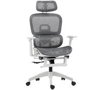 HOMCOM Ergonomic Office Chair Swivel Computer Chair with 3D Armrest Grey | TJ Hughes