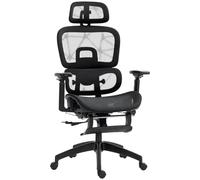 HOMCOM Ergonomic Office Chair, Swivel Recliner, Headrest, Black | Mesh High Back Computer Desk Chair, 4 Level Adjustable Back, Adjustable Lumbar Support, 3D Armrest, Footrest