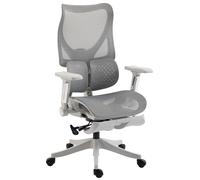HOMCOM Ergonomic Office Chair with Lumbar Support, Mesh Reclining Desk Chair with Footrest, Adjustable High Back, Grey