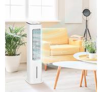 HOMCOM Fan 824-042V70 White 23 x 29 x 86 cm