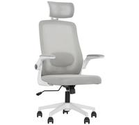 HOMCOM Executive Mesh Office Chair with Headrest, Lumbar Support, Grey - Grey