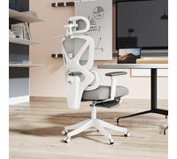 HOMCOM Executive Office Chair, Recliner Computer Chair with Footrest, Grey HOMCOM Grey