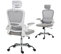 Homcom High Back Mesh Computer Desk Chair With Lumbar Support, Grey