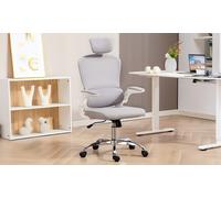 HomCom High Back Mesh Computer Desk Chair with Lumbar Support: Charcoal Grey