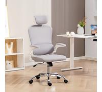 HOMCOM High Back Mesh Computer Desk Chair with Lumbar Support, Grey