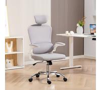 HOMCOM High Back Mesh Computer Desk Chair with Lumbar Support, Grey