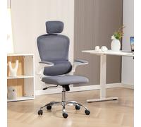 HOMCOM Ergonomic Mesh Office Chair with Adjustable Headrest for Home in Dark Grey HOMCOM Dark Grey