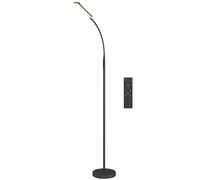 HOMCOM LED Floor Lamp for Living Room with Magnetic Remote Control - Black | TJ Hughes