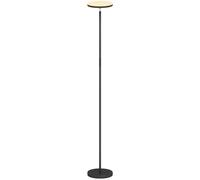 Homcom Rgb Floor Lamp With Rotatable Head, Modern Standing Lamp, Black Black