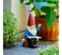 HomDSim Garden Gnome Statue In Reading Book Gnomes Dwarfs 9.5 Inch, Polyresin, Full Color Funny Lawn Ornaments and Statues