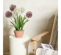 Home 24 inch Tall Faux Allium Plant