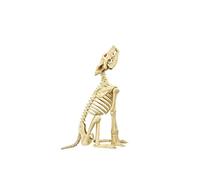 Home Accent Holiday 2.5 ft. Animated Halloween Skeleton Wolf