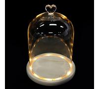 Home Accessories Glass Dome with Lighted Base: Small Clear Glass Display Dome Cloche Cover with Wooden Base for Cupcake Eternal Flower Succulent Plant Decor Dining Room Table Decor