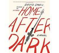 Home After Dark : A Novel