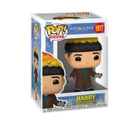 POP! Movies - Home Alone 2 #1917 Harry (Beanie on Fire)