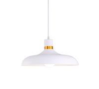 Home Chandelier,Chandelier, Color Chandeliers Hanging Nordic Industrial Ceiling Creative Lamp, E27 Single Head Pendant Light Fixture,additionalWeblabs:(PAX_CHECKOUT_BUY_NOW_UFO_TA