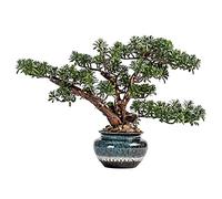 Home Chinese Artificial Bonsai Tree Simulation Welcome Pine Wood Zen Ceramic Potted Faux Plant Living Room Home Ornaments Decor
