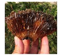 Home Collections Gemstones and Crystals 50-400g Natural Yellow Amber Calcite Raw Stone Crystal, Gem Collection of Rough Rock Specimens Home Decor (Color : 200-250g)