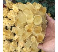 Home Collections Home Decor, Natural Yello Ghost Phantom Quartz Home Decoration Office Living Room Decora Gifts,Natural (Size : 300-400g) (Size : 700-800g)