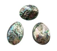 home decoration 10pc Natural Abalone Shell Necklace Pendant Jewelry Ornaments Crystal (Size : With hole)