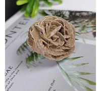 home decoration 1pcs Natural Desert Rose Raw Crystal Stone Fengshui Decor Gift