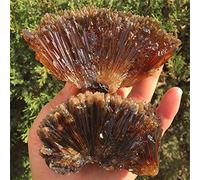 home decoration 1pcs Natural Yellow Amber Calcite raw Stone Crystal gem Collection of Rough Rock specimens Home Decor (Color : 220g 240g, Size : 1PCS)