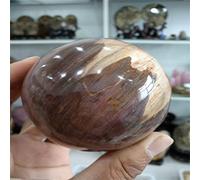 home decoration 70mm Natural Petrified Wood Ball Polished Specimen Madagascar Great Choice for Home Decoration