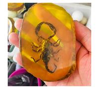 home decoration Artefacts of True Scorpion Specimen in The Living Room of The Office Crystal (Color : Dark Khaki)