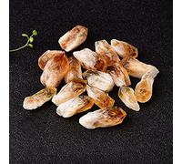 home decoration Crystal Decoration Natural Brazilian Rough Citrine Point Ore Raw Quartz Crystals Stones Jewelry Collection Home Decor Home Decor Beautiful Gifts draw(Size:50g)