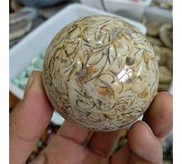 home decoration Dinosaur Bones Quartz Crystal Ball Natural Gemstone Magic Sphere Reiki Great Choice for Home Decoration