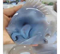 home decoration Natural Crystal Rough Home Decoration Natural Agate Geode Quartz Crystal Stones Ornament Home Decoration Craft Ment DIY Gift Reiki Fish Stones (Size : 250-300g)