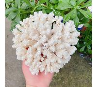 home decoration Natural White Coral Cluster Quartz Crystal Reef Home Decoration Gift