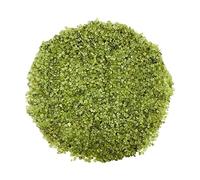 home decoration Ornaments For Christmas Trees Small Green Stones Polished River For Ornamental Plants Aquarium Gravel Stones For Potted Plants Succulents Bonsai Terrarium Fairy Garden DIY Project (Co