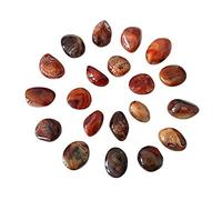 home decoration Stone Natural Silk Carnelian Palm Stone Halloween Home Decoration Powerful Spiritual Witchcraft Reiki Supplies Gem Gift Crystal