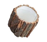Home Desk Pen Cup Natural Bark Organizer