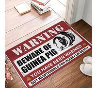 Home Entrance Decor Beware of Guinea Pig Doormat Front Door Inside Mat Outside Fall Decor (Size : 40X60CM)