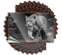 Home Entrance Decor Window Saying - Leopard Stalking Through The Shadows: A Dramatic Wildlife Scene Retro Durable Sticker Easy Apply for Taupe Decor(6X9CM)