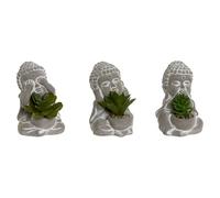Home ESPRIT Decorative Plant Polyethylene Cement Oriental Buddha 8.5 x 7 x 11 cm (Pack of 3)