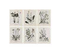 Home ESPRIT Shabby Chic Botanical Plants Picture 40 x 1.5 x 50 cm Pack of 6