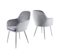 Home Garden Direct Muse - Set of 2 Accent Chairs in Velvet - Grey Silver Leg Home Garden Direct Grey