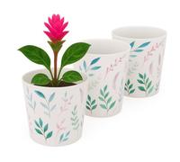 Home Garden Ornaments Indoor Plant Pot - Decorative Flower Pots with Inner Cone, Floral & Tropical Design Orchid Planters for Home Décor (13 cm / 5.1 inch - Small Feathers)
